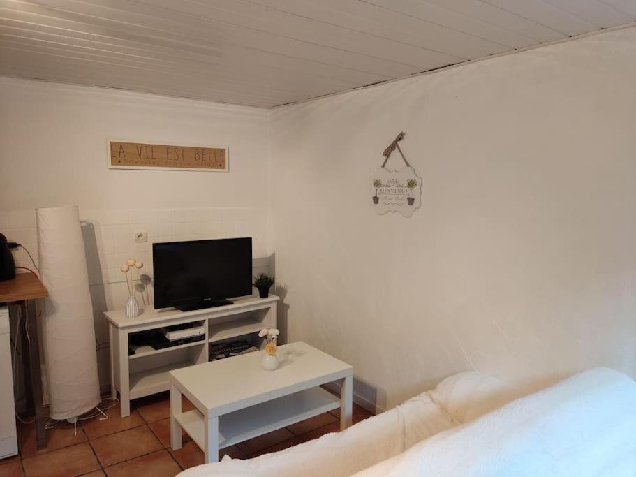 Appartement En Rez De Jardin Et Terrasse Ds Villa Hyères المظهر الخارجي الصورة